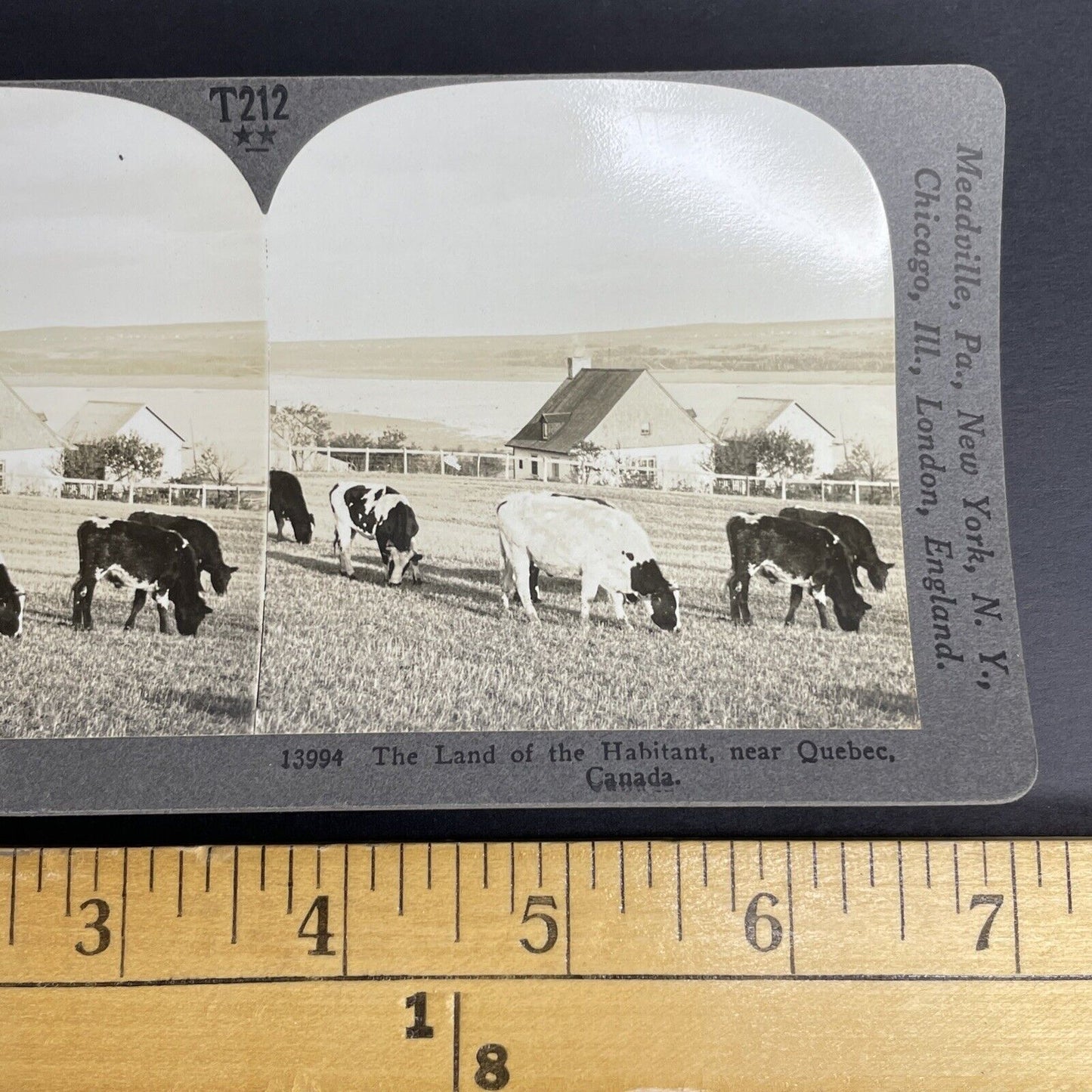 Antique 1905 Quebec Dairy Farm On St. Lawrence Stereoview Photo Card PC853