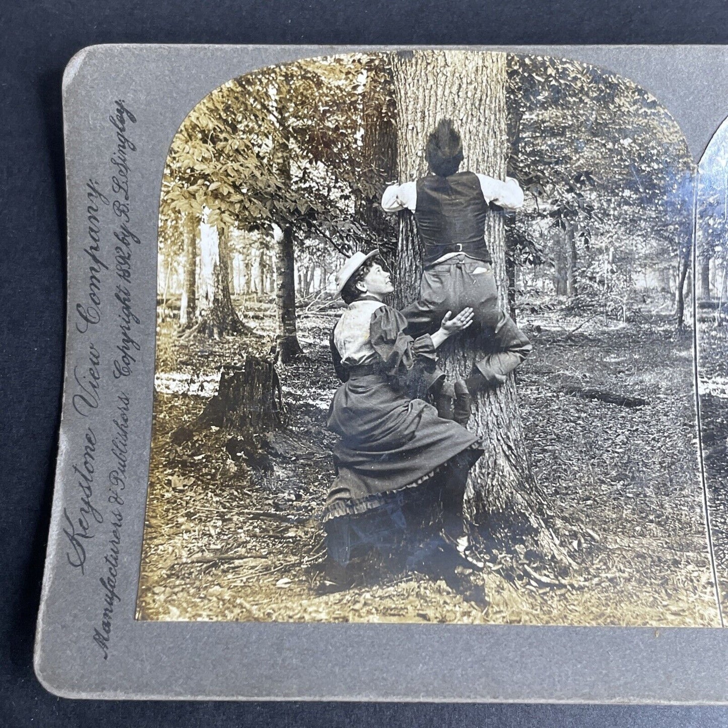 Antique 1892 Man & Woman Climbing A Tree Stereoview Photo Card P1051