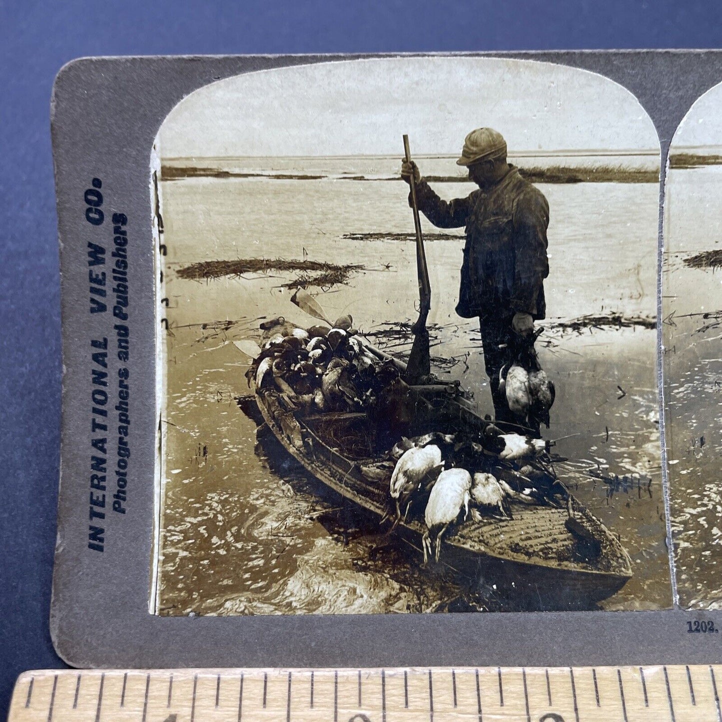 Antique 1902 Duck Hunter With Canoe Full Of Ducks Stereoview Photo Card P2653