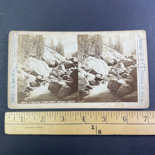 Fishing in Slough Creek Wyoming Stereoview T.W. Ingersoll Antique c1888 Y1328