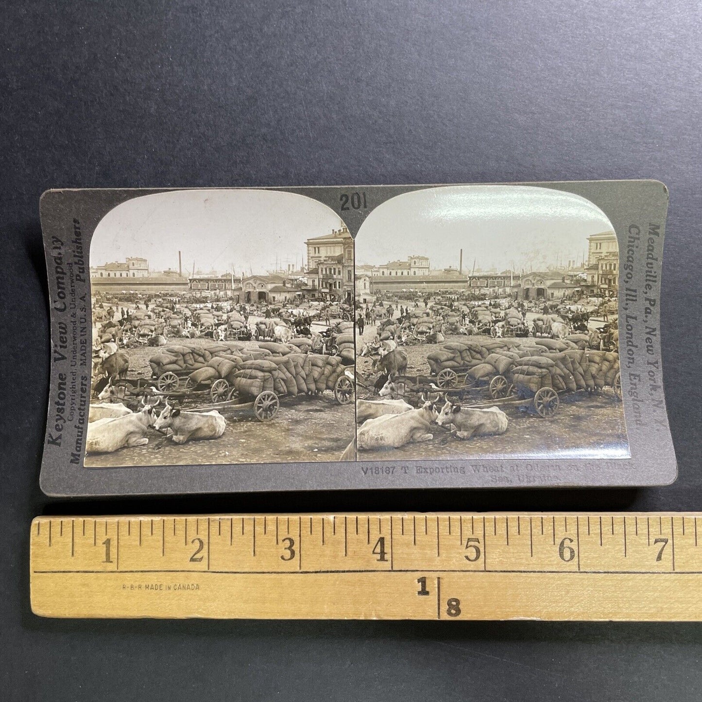 Antique 1920s Odessa Ukraine Wheat Export Market Stereoview Photo Card P1486