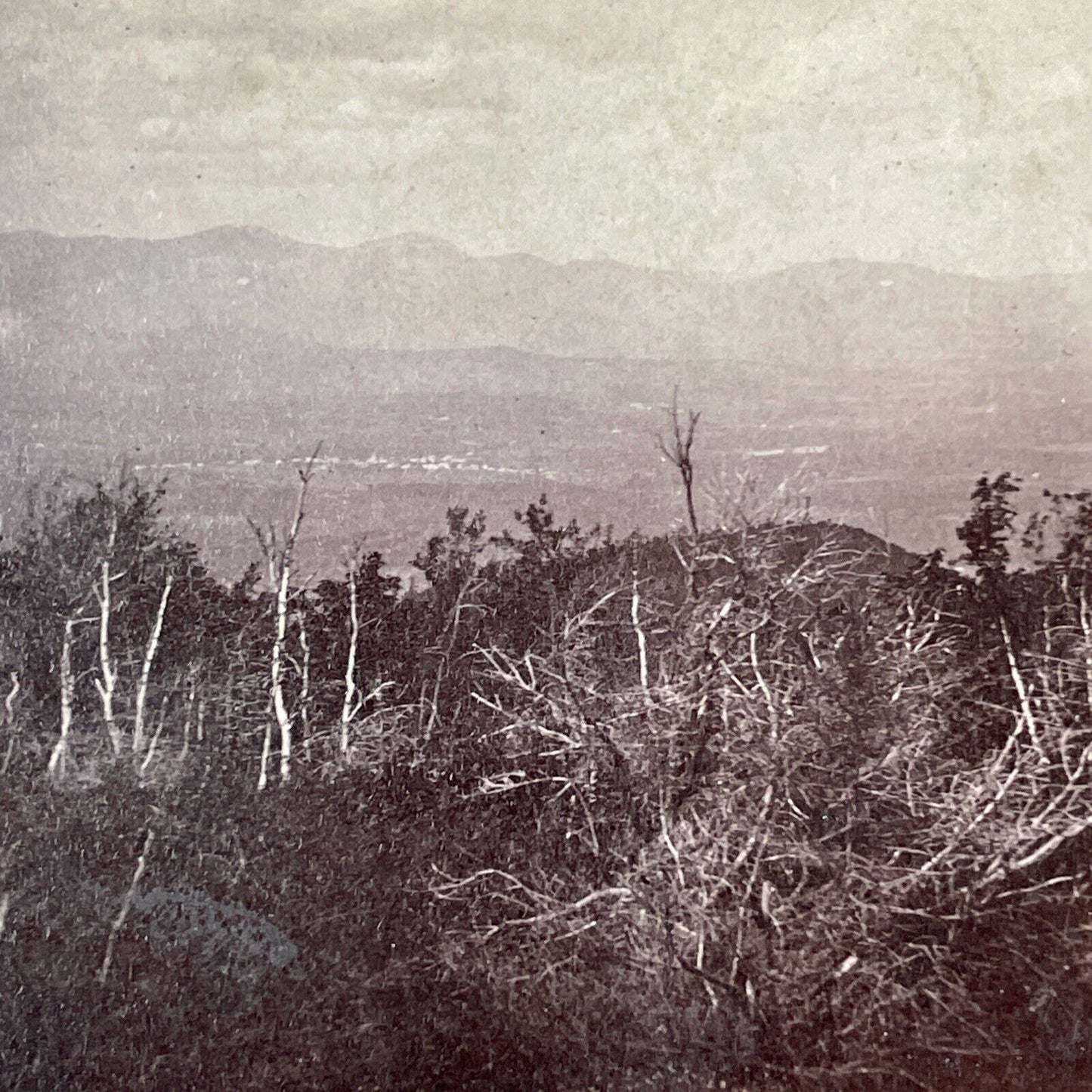 Center Sandwich Forest Fire Stereoview A.B. Hoag Photo Card Antique 1871 X892