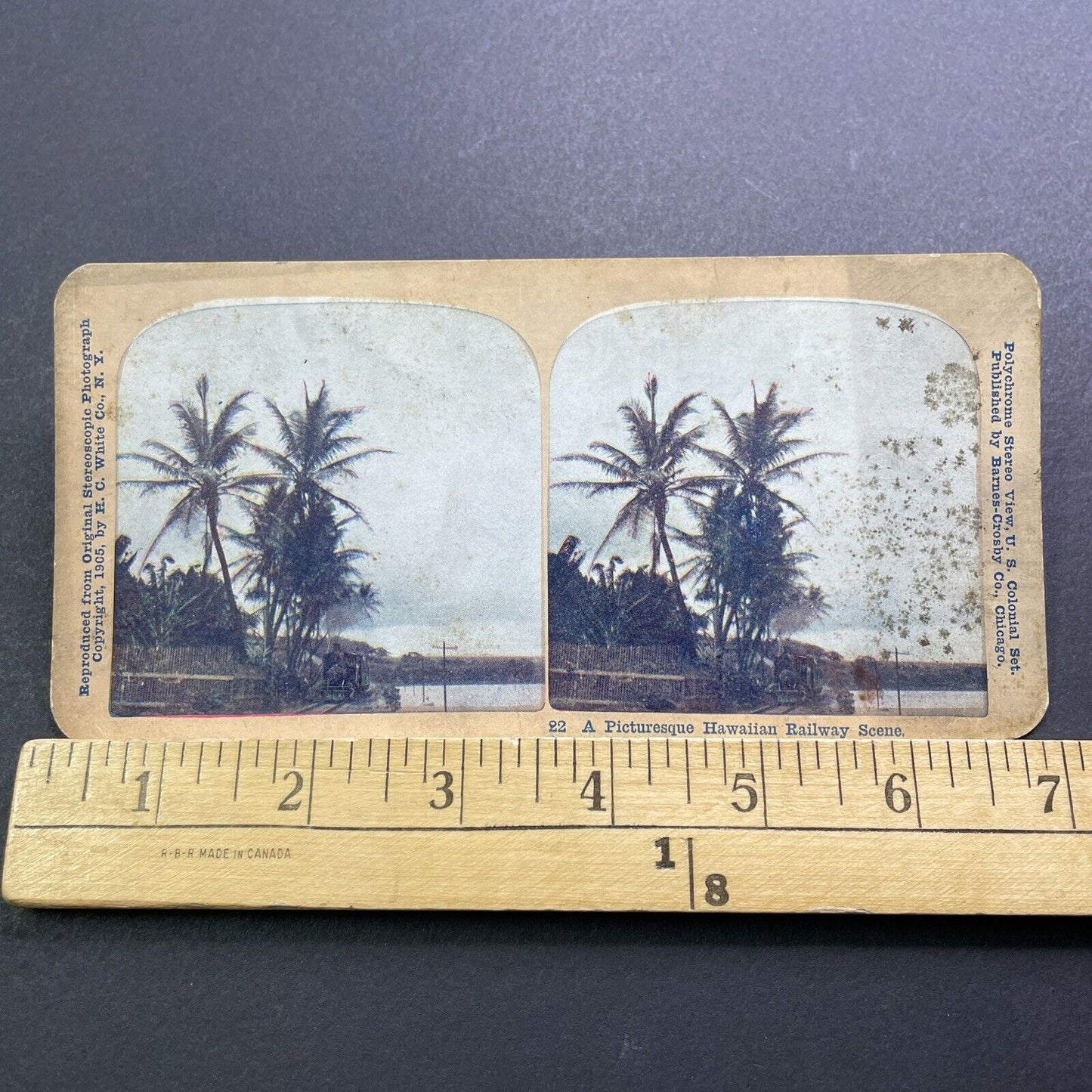 Antique 1905 Hawaii Hawaiian Railroad Train Stereoview Photo Card V3408