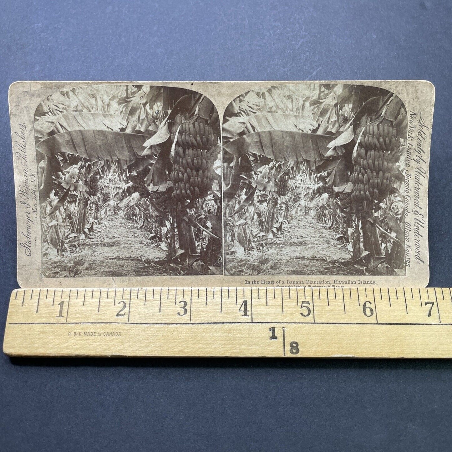 Antique 1896 Oahu Banana Plantation Farm Hawaii Stereoview Photo Card P2516