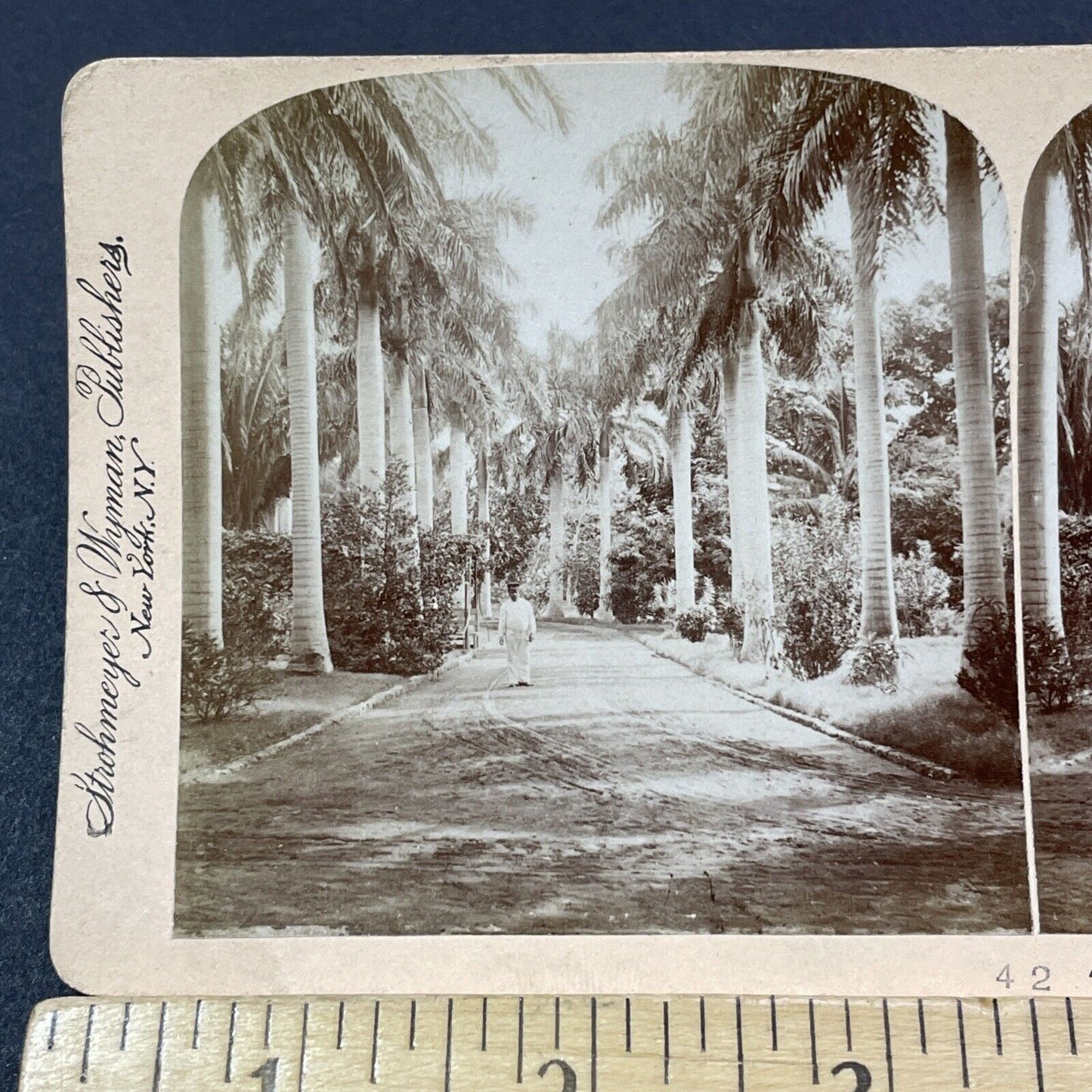 Antique 1896 Hospital Entrance Honolulu Hawaii Stereoview Photo Card V2121