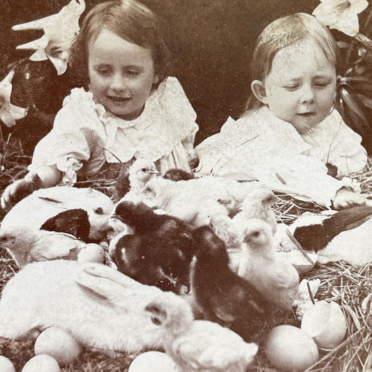 Antique 1899 Children Play With Easter Eggs, Bunnies Stereoview Photo Card P2605