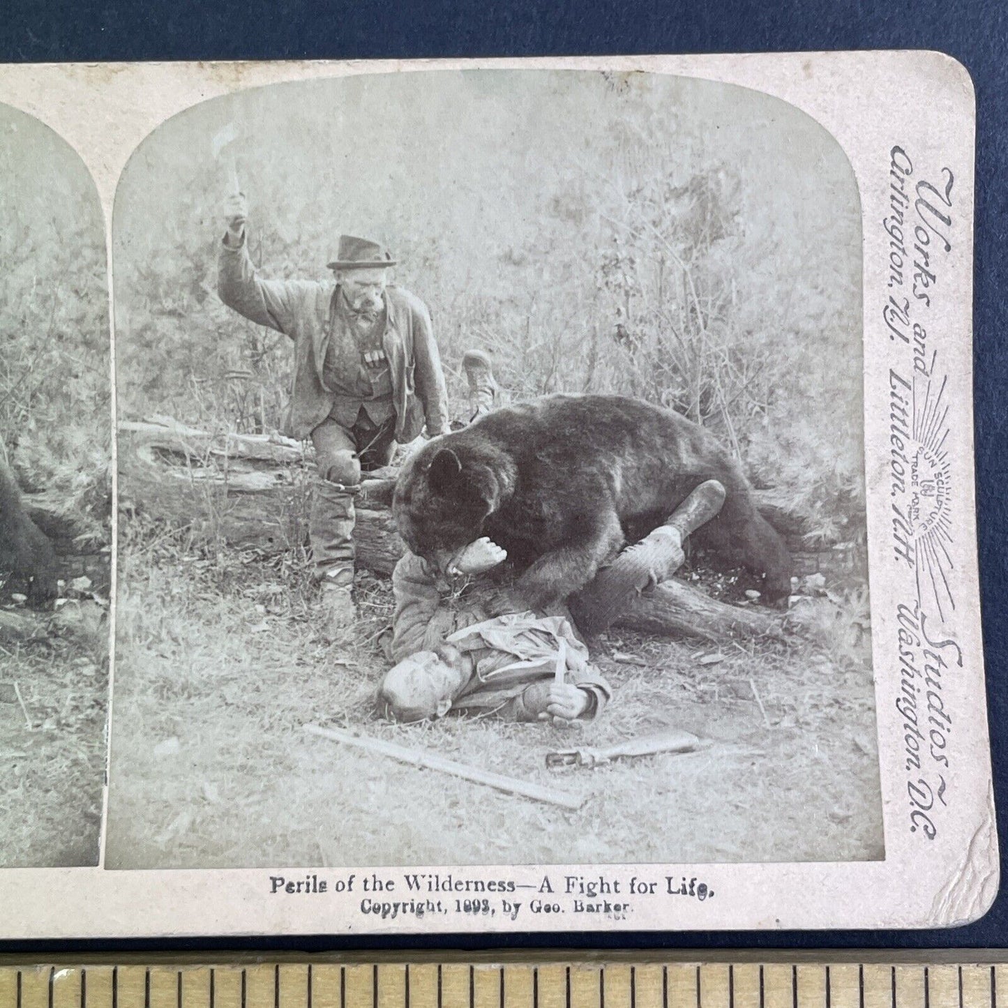 Wild Bear Attacking A Man Stereoview George Barker Antique c1893 Y1217