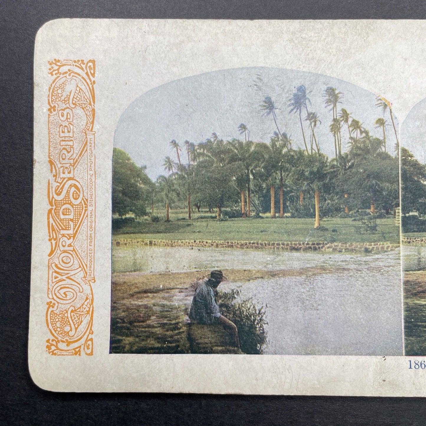 Antique 1905 Manoa Stream Honolulu Hawaii Stereoview Photo Card P580-086