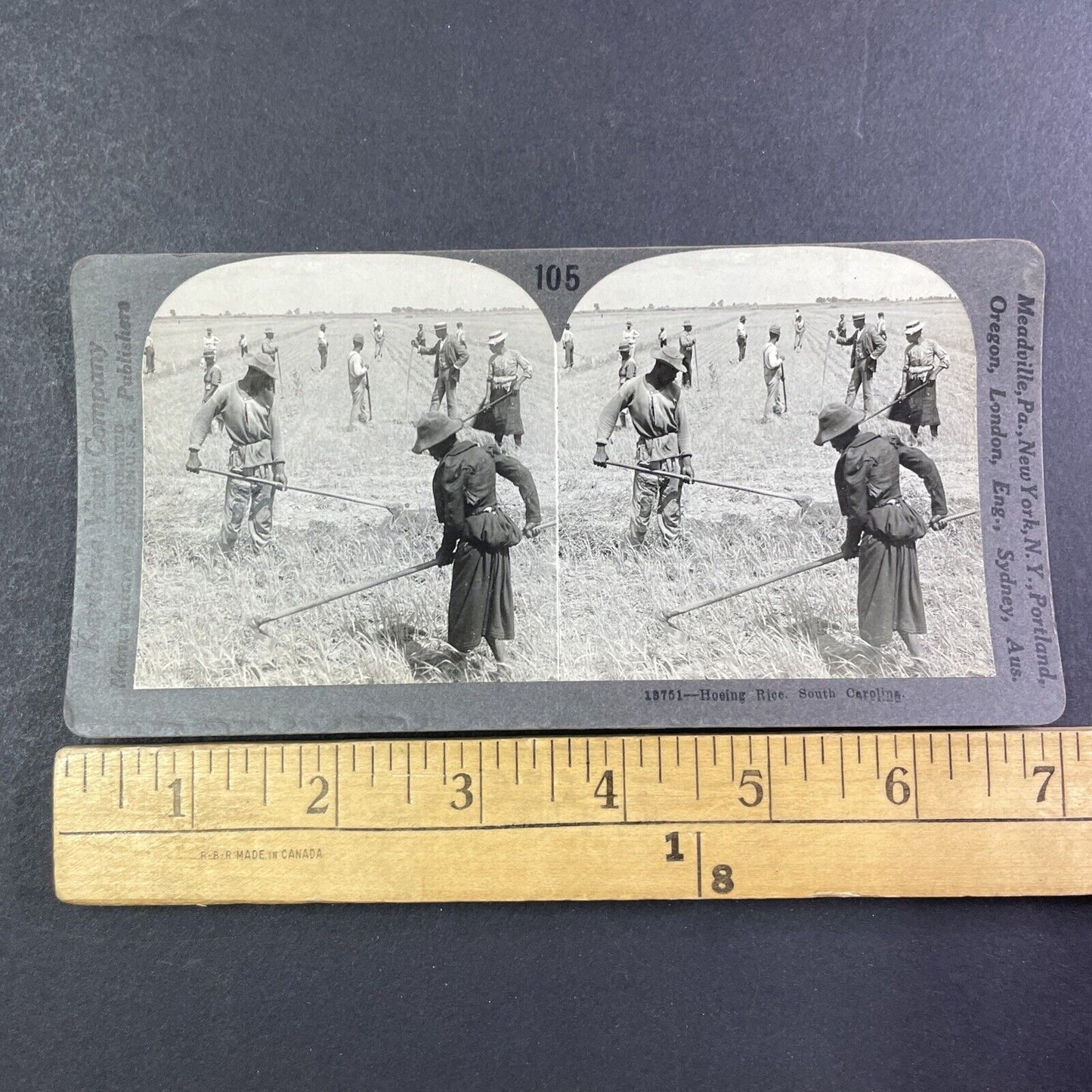 African American Farmers In A Carolina Rice Field Stereoview Antique c1916 X2710