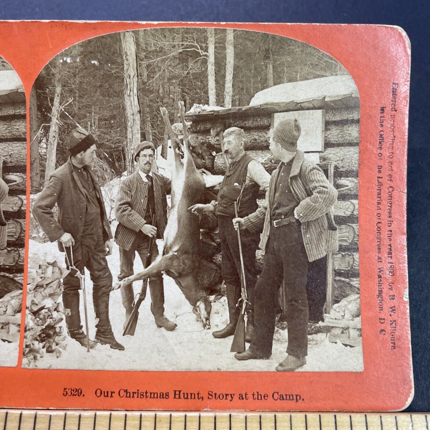 Antique 1890 Hunters Hang A Deer After Hunt Stereoview Photo Card P3515
