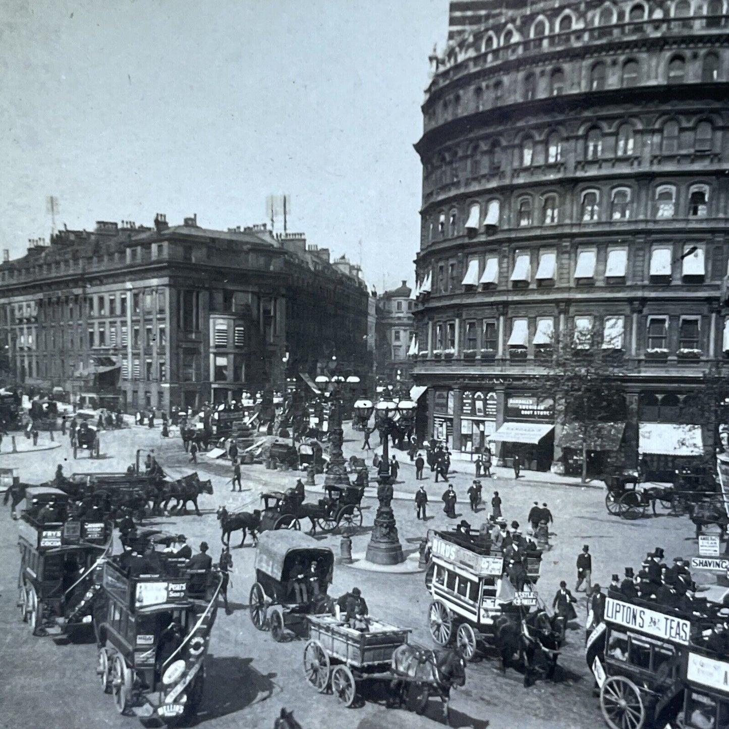 Antique 1909 Lipton Tea Ad On Buggy London England Stereoview Photo Card V2883