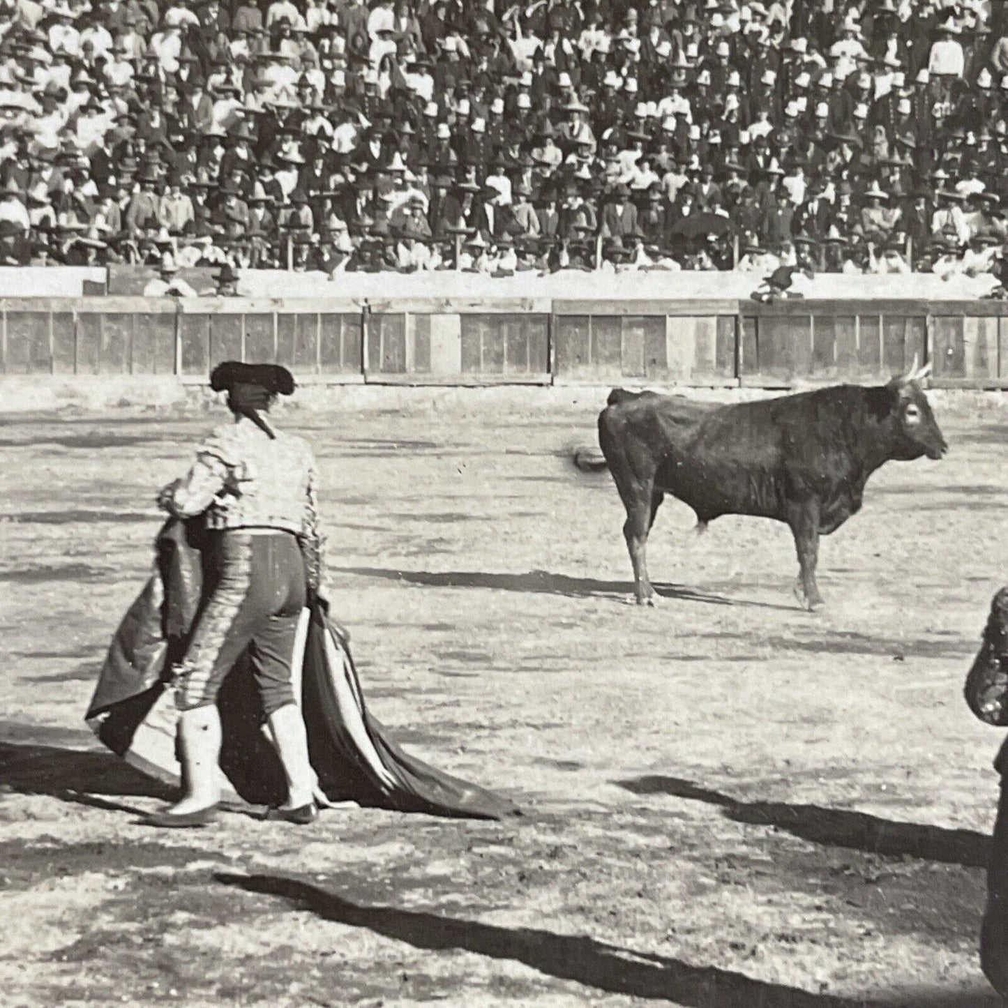 Antique 1900 Bullfighting Bullfighters Mexico Stereoview Photo Card P4439