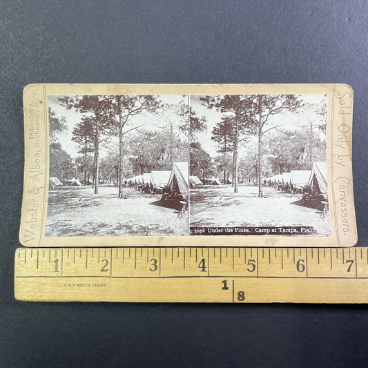 US Army Camp In Tampa Bay Florida Stereoview Webster Antique c1898 X3120