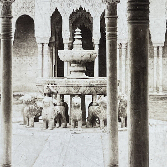 Antique 1901 Lion Fountain Court Granada Spain Stereoview Photo Card P2452
