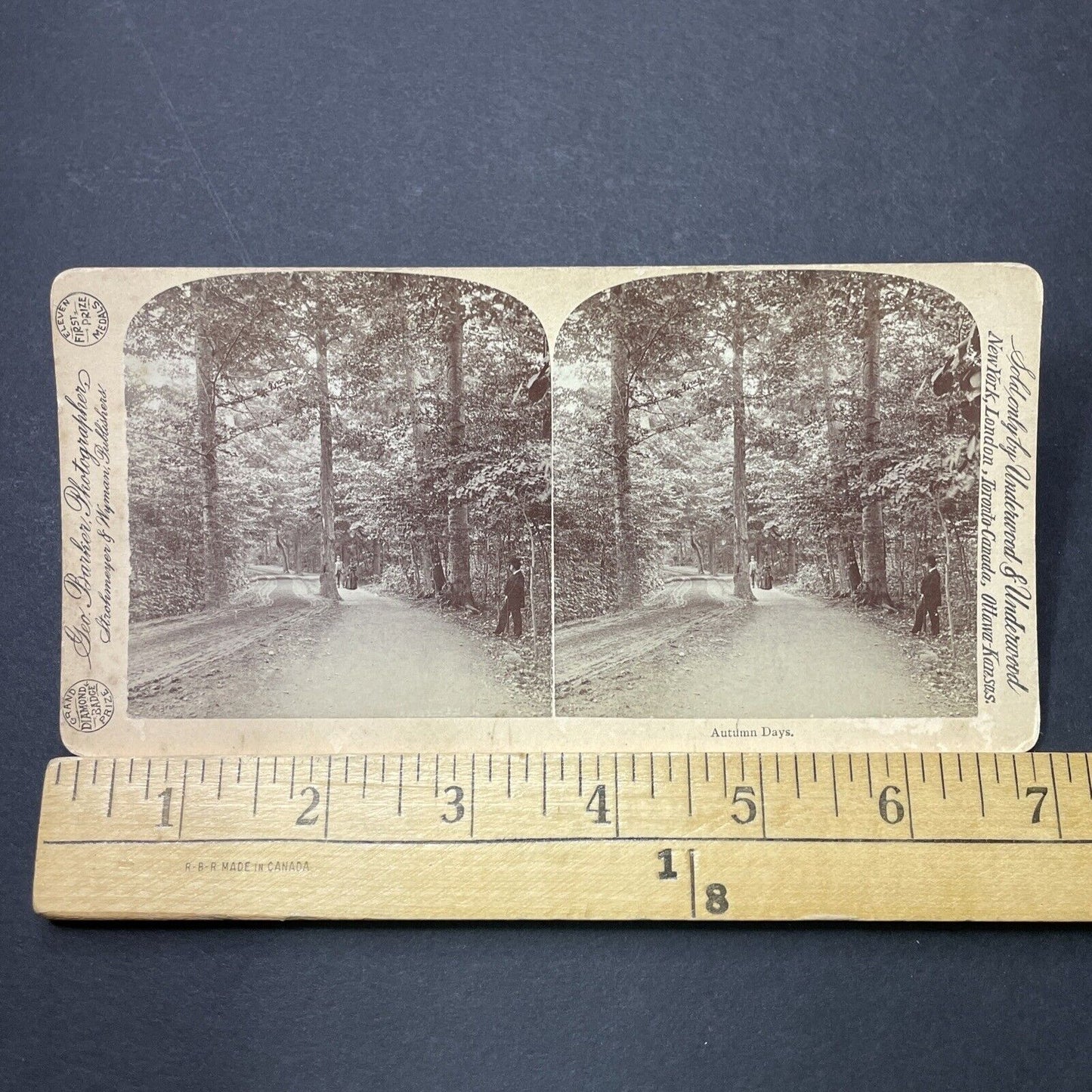 Antique 1880s Central Park Walk New York City Stereoview Photo Card P3476