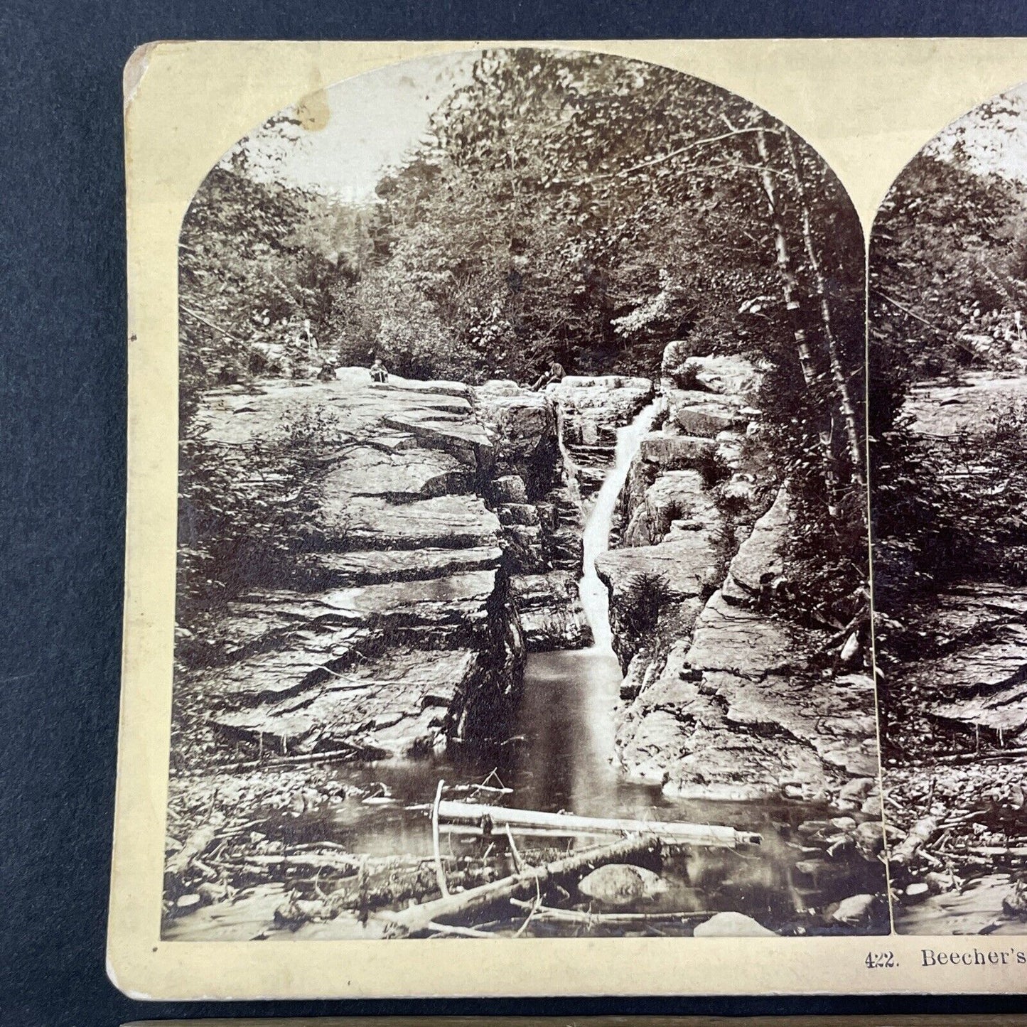 Beecher's Falls Crawford House Stereoview New Hampshire Antique c1870s Y1856