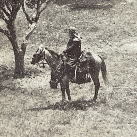 Antique 1900 Arab Desert Warrior On Horseback Stereoview Photo Card P4207