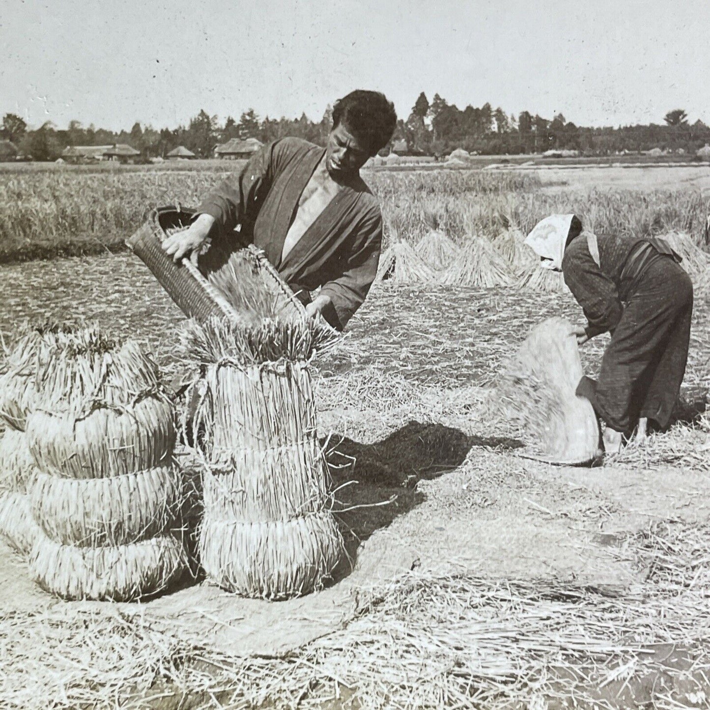 Antique 1905 Husband And Wife Bailing Rice Japan Stereoview Photo Card P2177