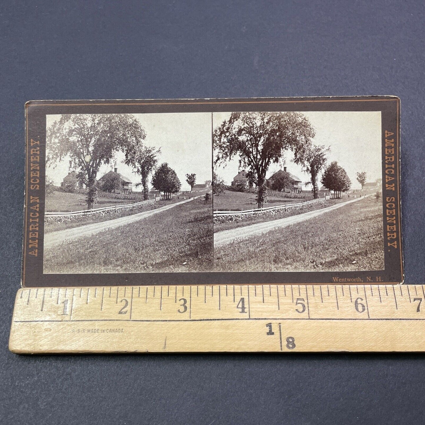 Antique 1870s Wentworth New Hampshire Town View Stereoview Photo Card V1929