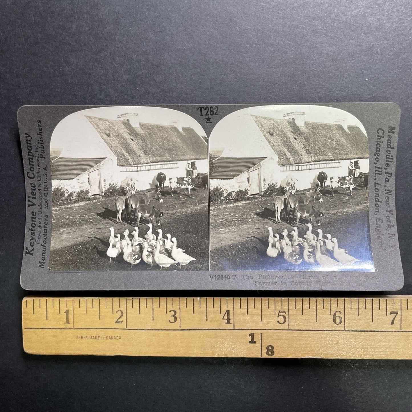 Antique 1918 Small Farm County Kerry Ireland Stereoview Photo Card P1365