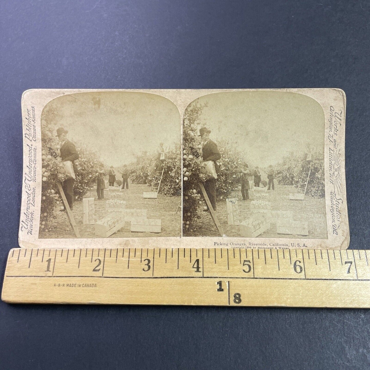 Antique 1898 Orange Grove Farm Riverside California Stereoview Photo Card P3470