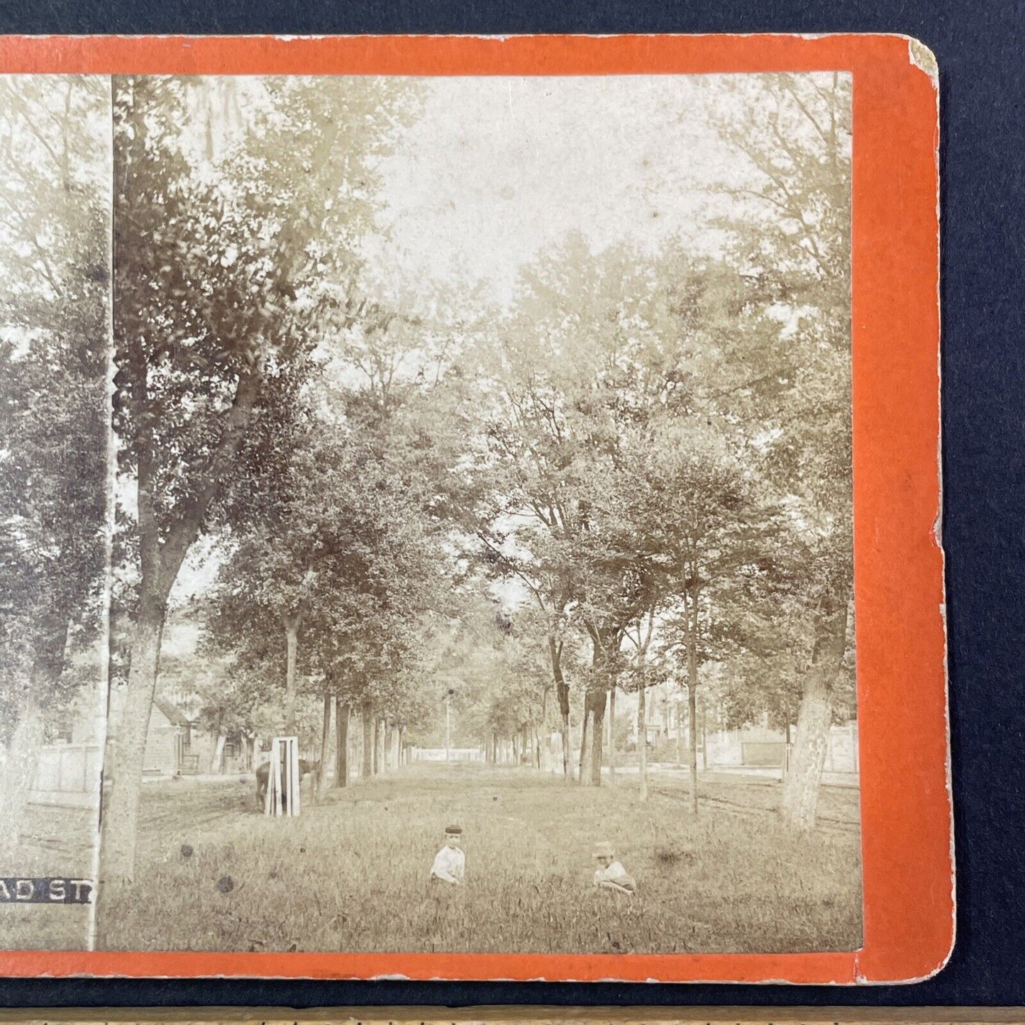 Savannah Georgia Oglethorpe Avenue Stereoview O. Havens Antique c1878 Y1763