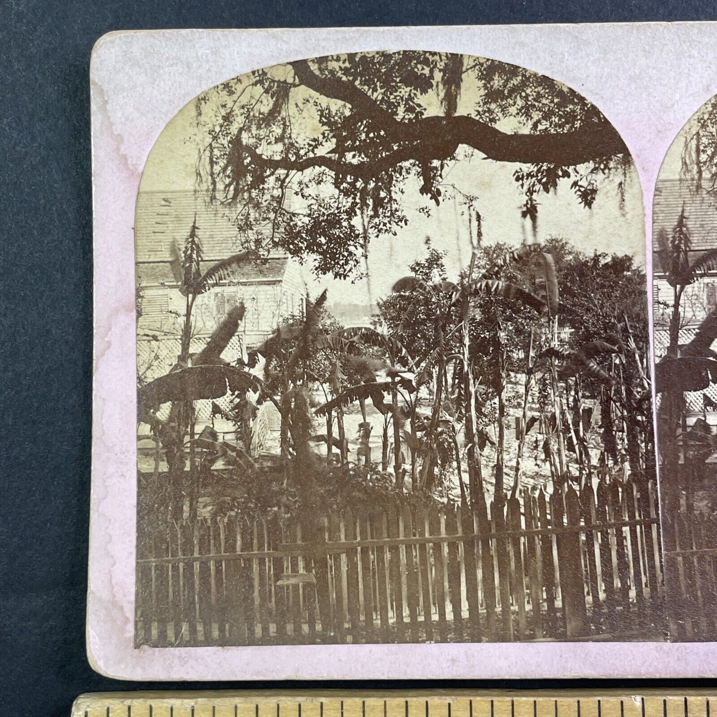 Florida Creole House Stereoview Jacksonville Area? Antique c1870 Y070