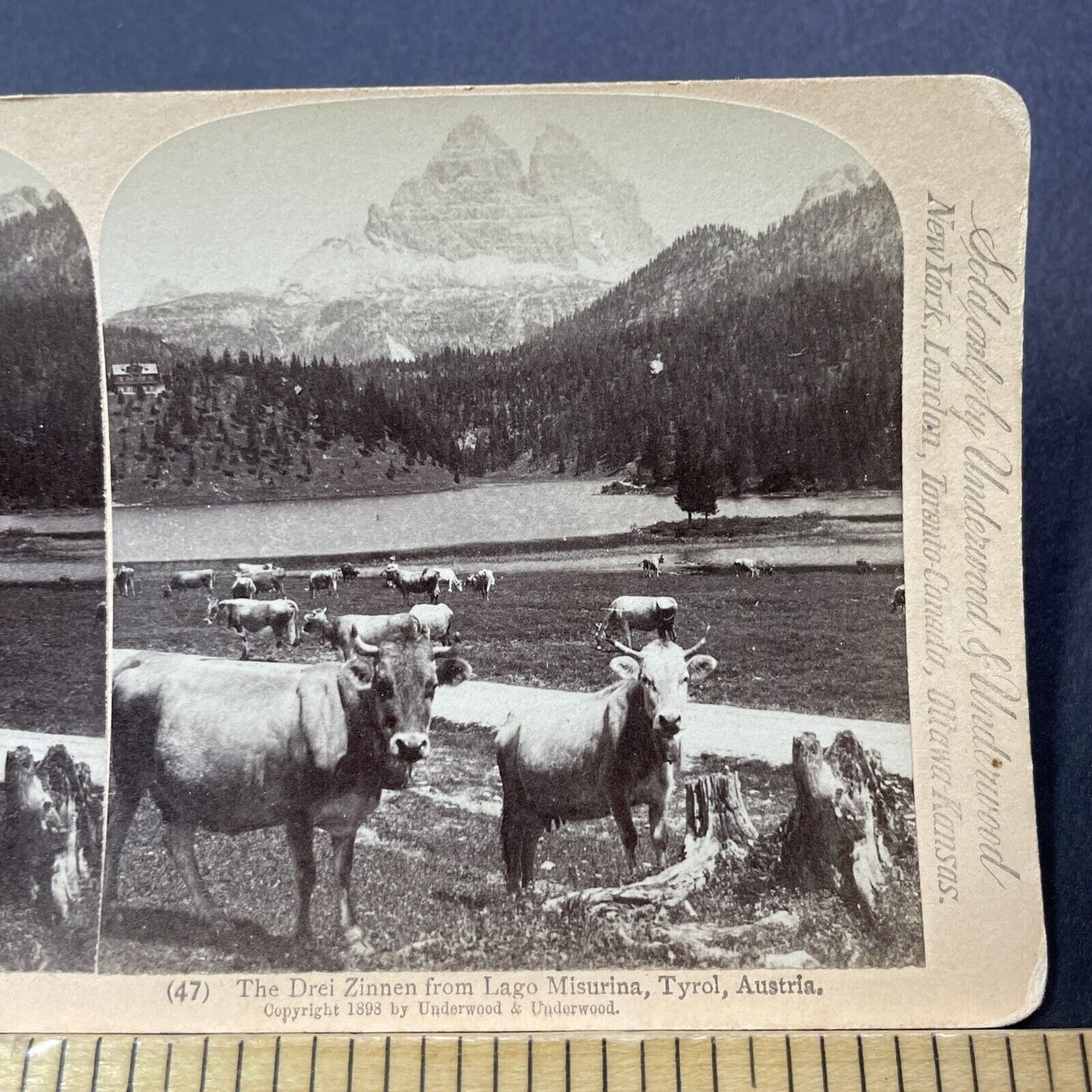 Antique 1898 Lake Misurina Tirol Tyrol Italy Stereoview Photo Card V3259