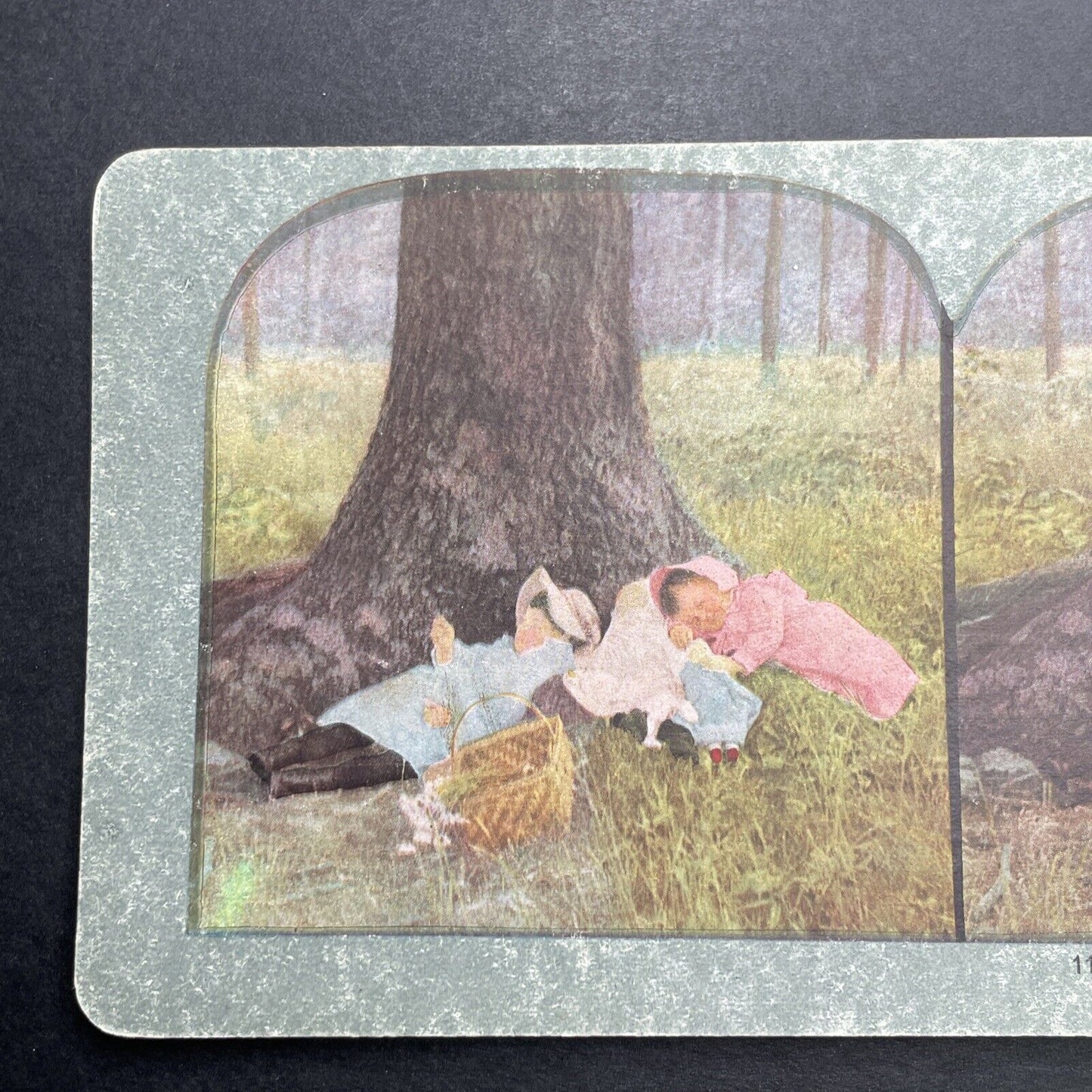 Antique 1898 Children Sleeping In The Woods Stereoview Photo Card P1217