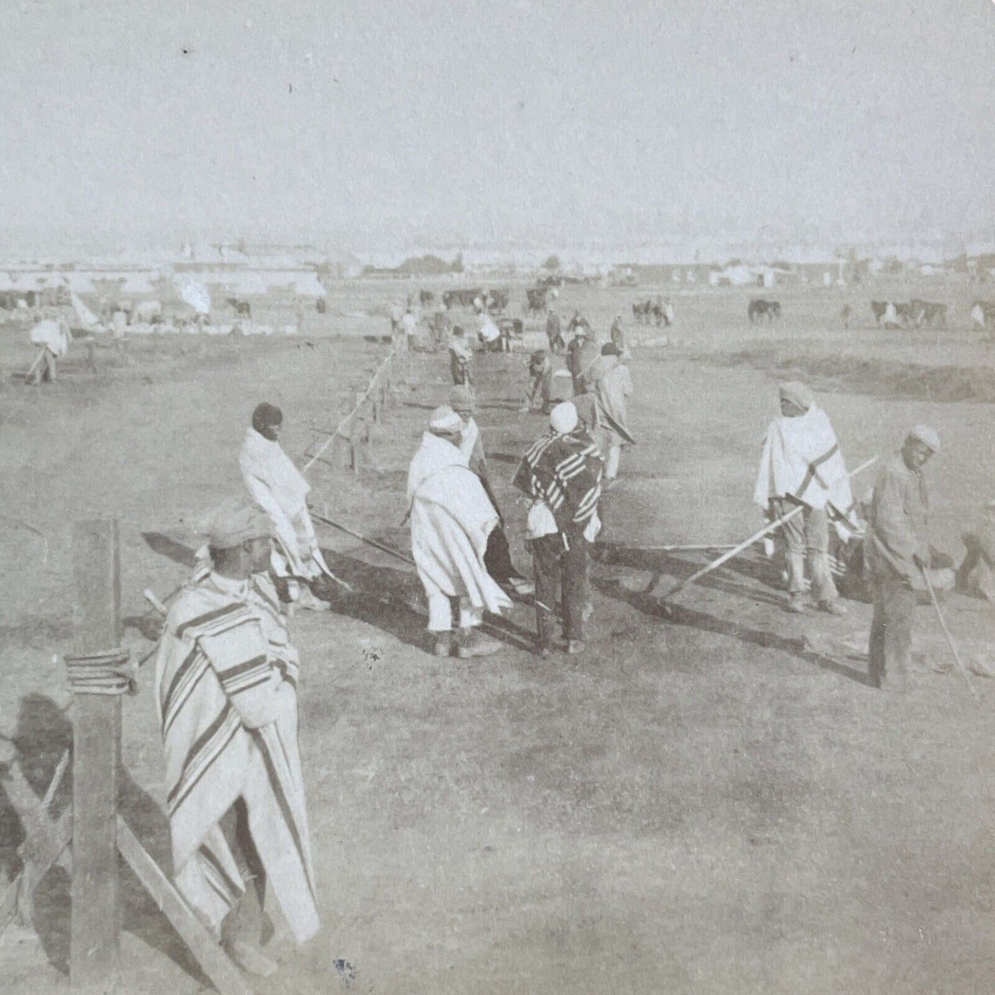 South Africa Men Prepare The Cavalry Stereoview Boer War Bloemfontein c1901 Y162