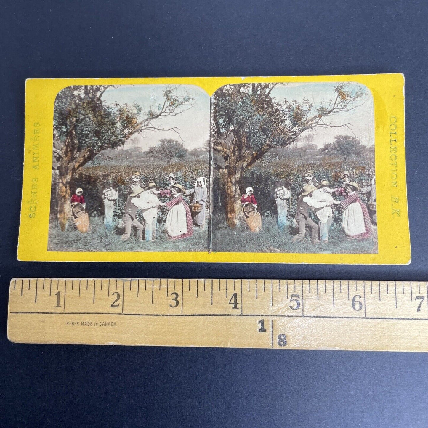 Antique 1880's Arresting A Vegetable Thief Stereoview Photo Card PC817