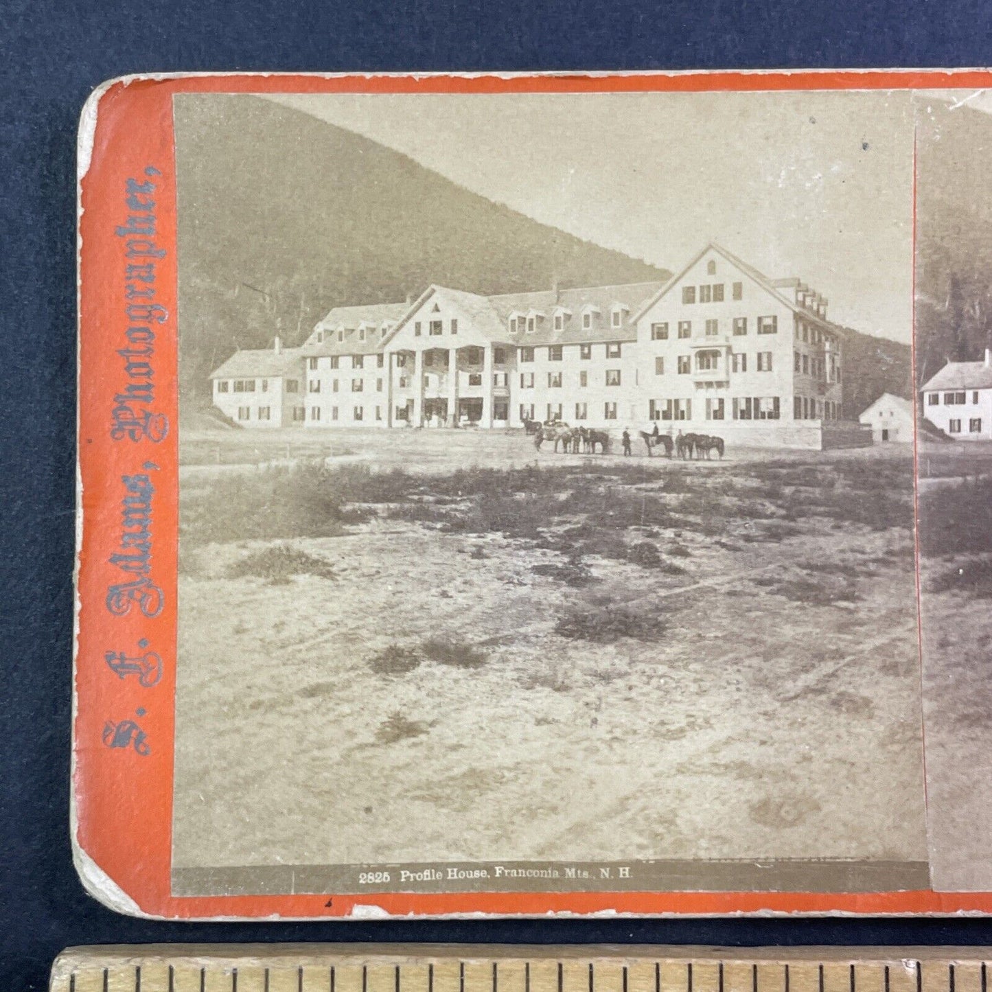 Profile House Franconia New Hampshire Stereoview S.F. Adams Antique c1880 Y915