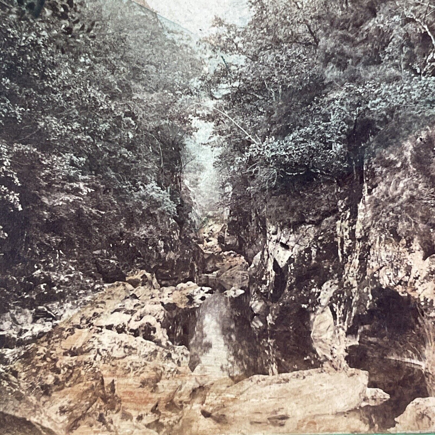 Fairy Glen Betws-y-Coed England Stereoview Snowdonia Park Antique c1860s X3223