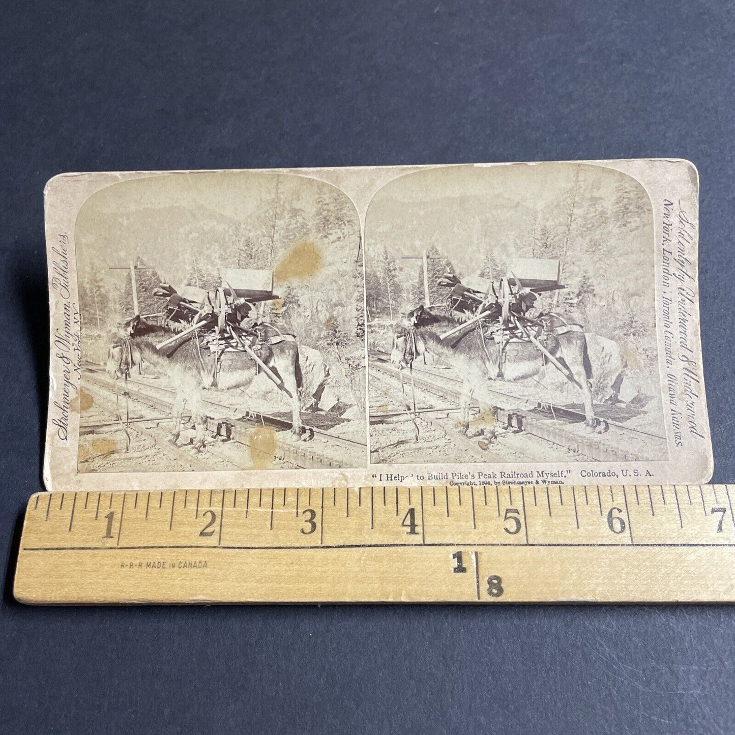 Antique 1894 Donkey Hauls Railroad Construction Tools Stereoview Photo Card 4335