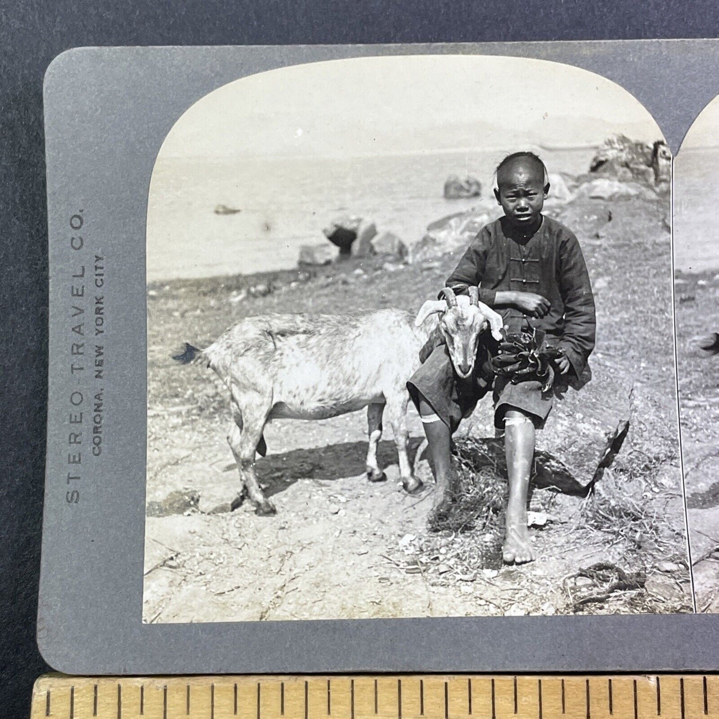 Traditional Chinese Farm Boy With A Goat Stereoview Antique c1910 X3104