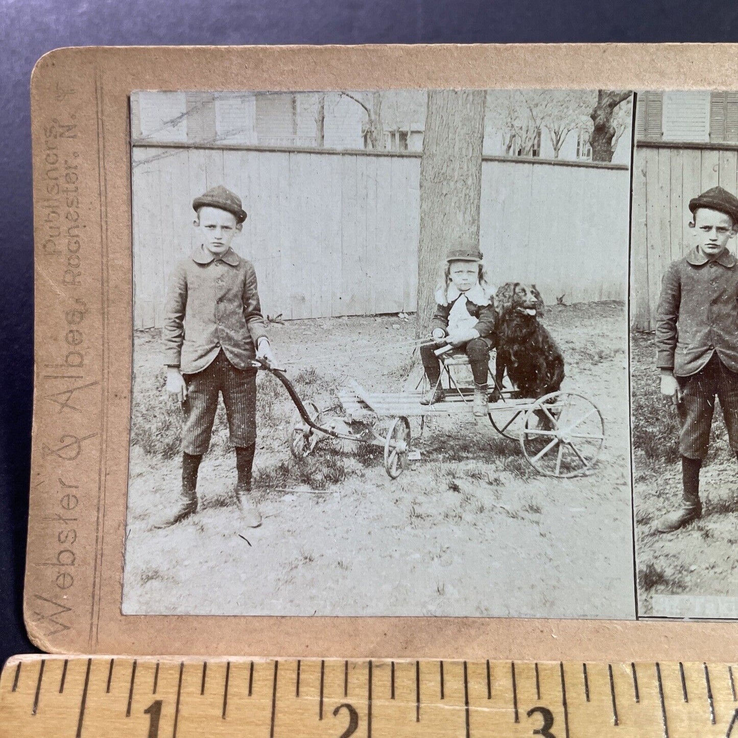 Antique 1870s Boy Pulling A Dog On A Cart Stereoview Photo Card P4043