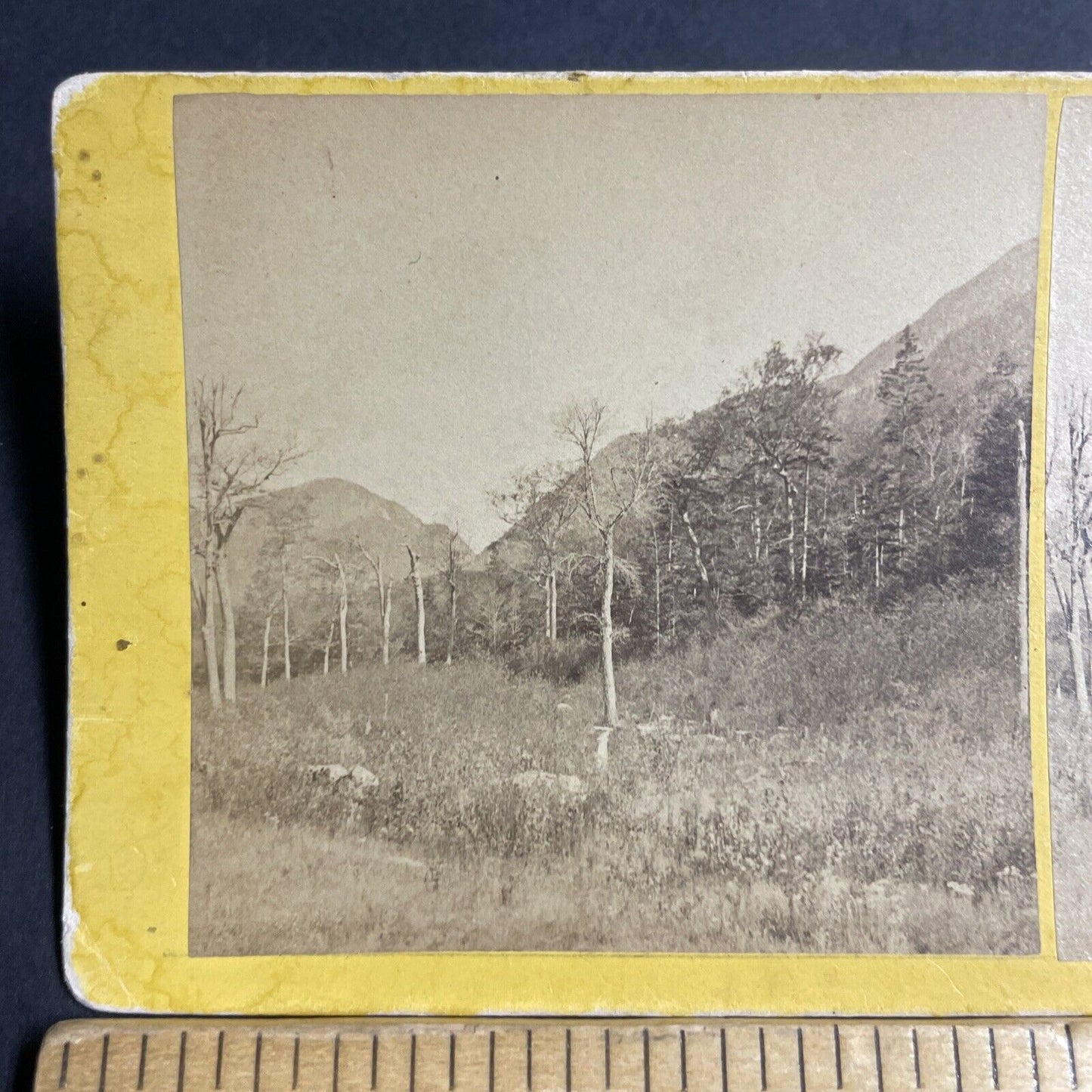 Antique 1870s Franconia Notch New Hampshire Stereoview Photo Card P4871