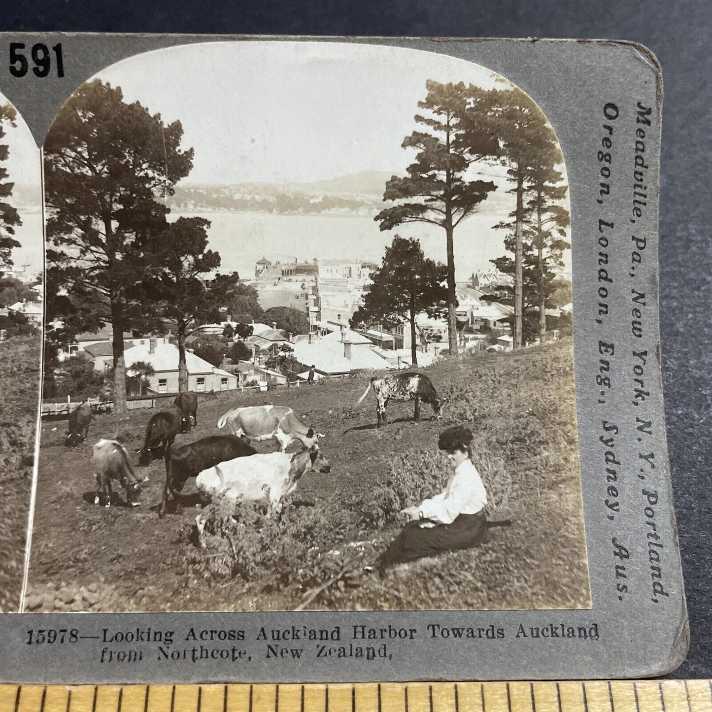 Antique 1911 Northcote Auckland New Zealand Park Stereoview Photo Card P5154