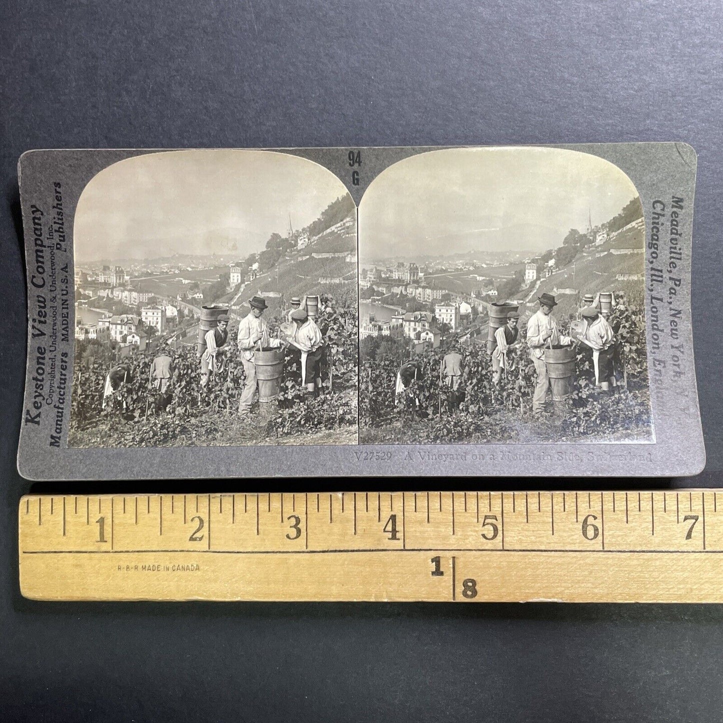 Antique 1918 Grape And Wine Vineyard Switzerland Stereoview Photo Card P1430
