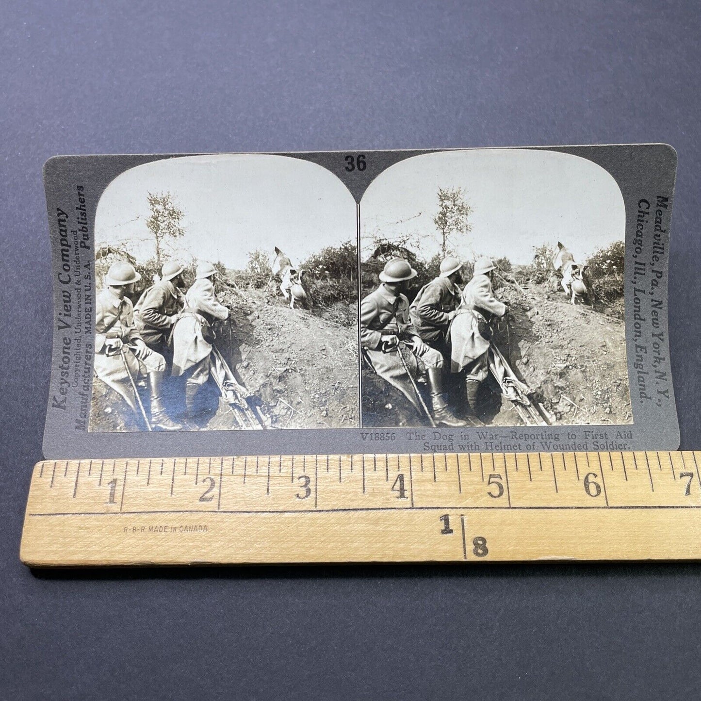 Antique 1917 French First Aid Dog Assists Soldiers Stereoview Photo Card P2788