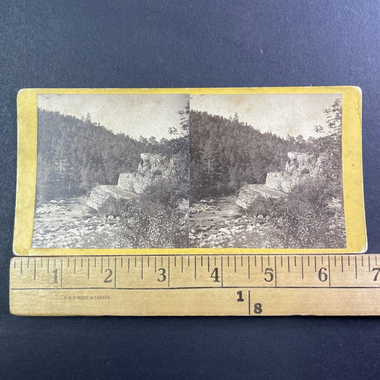 Woodford Vermont Creek & Hillside Stereoview Daniel H Cross Antique c1870 X1318