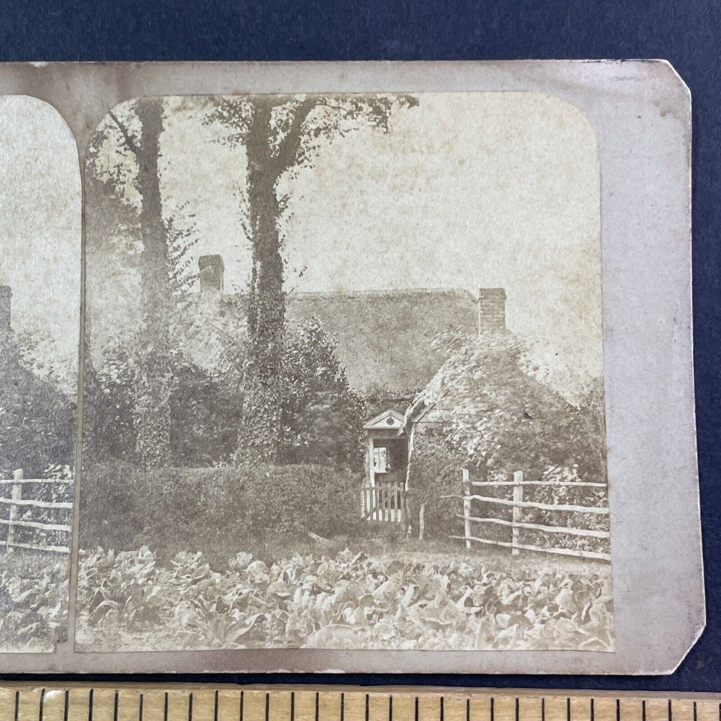 Elizabeth Wallbridge Dairyman's Daughter's Cottage c1865 Stereoview Wight X1891