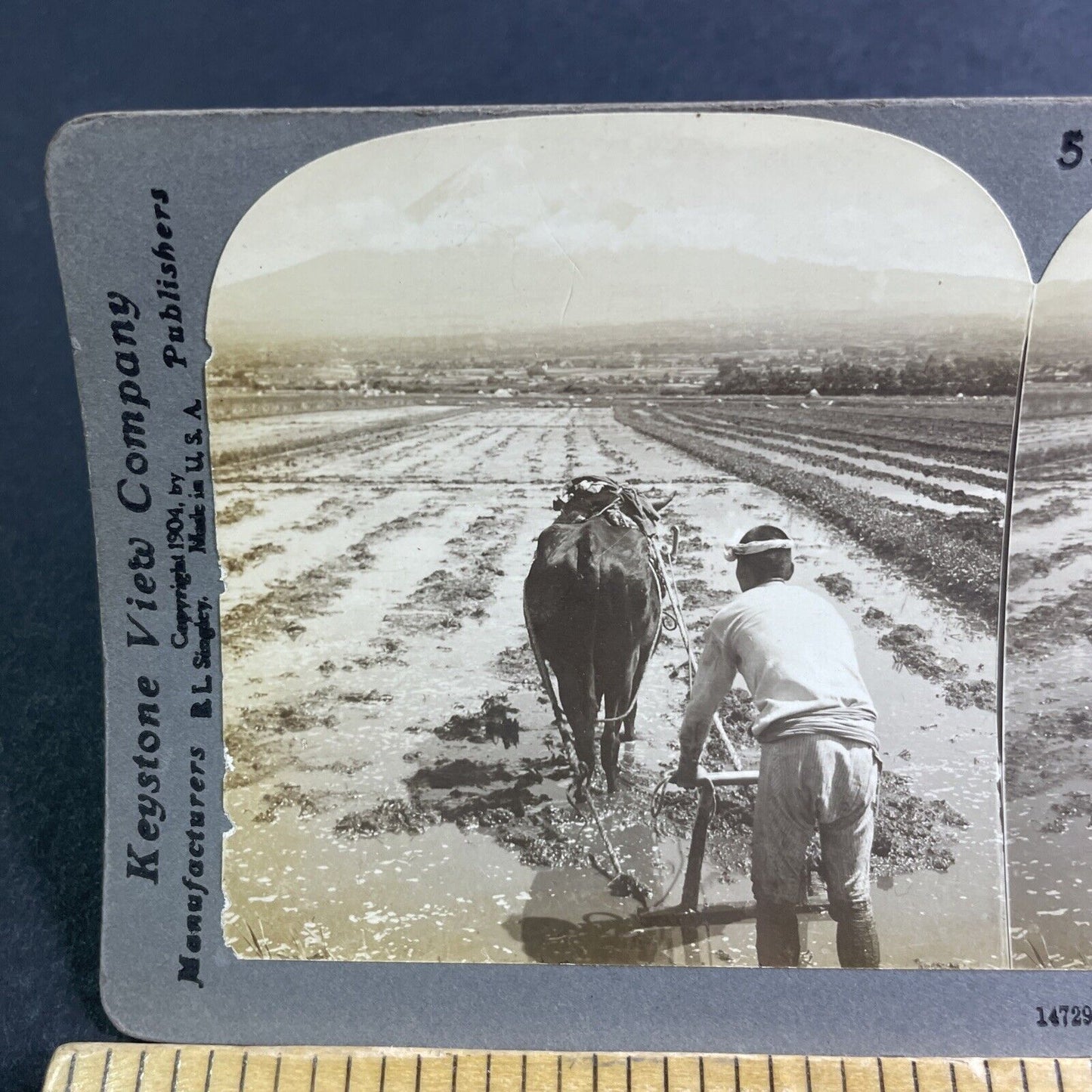 Antique 1904 Hand Plowing Rice Fields In Japan Stereoview Photo Card P2181