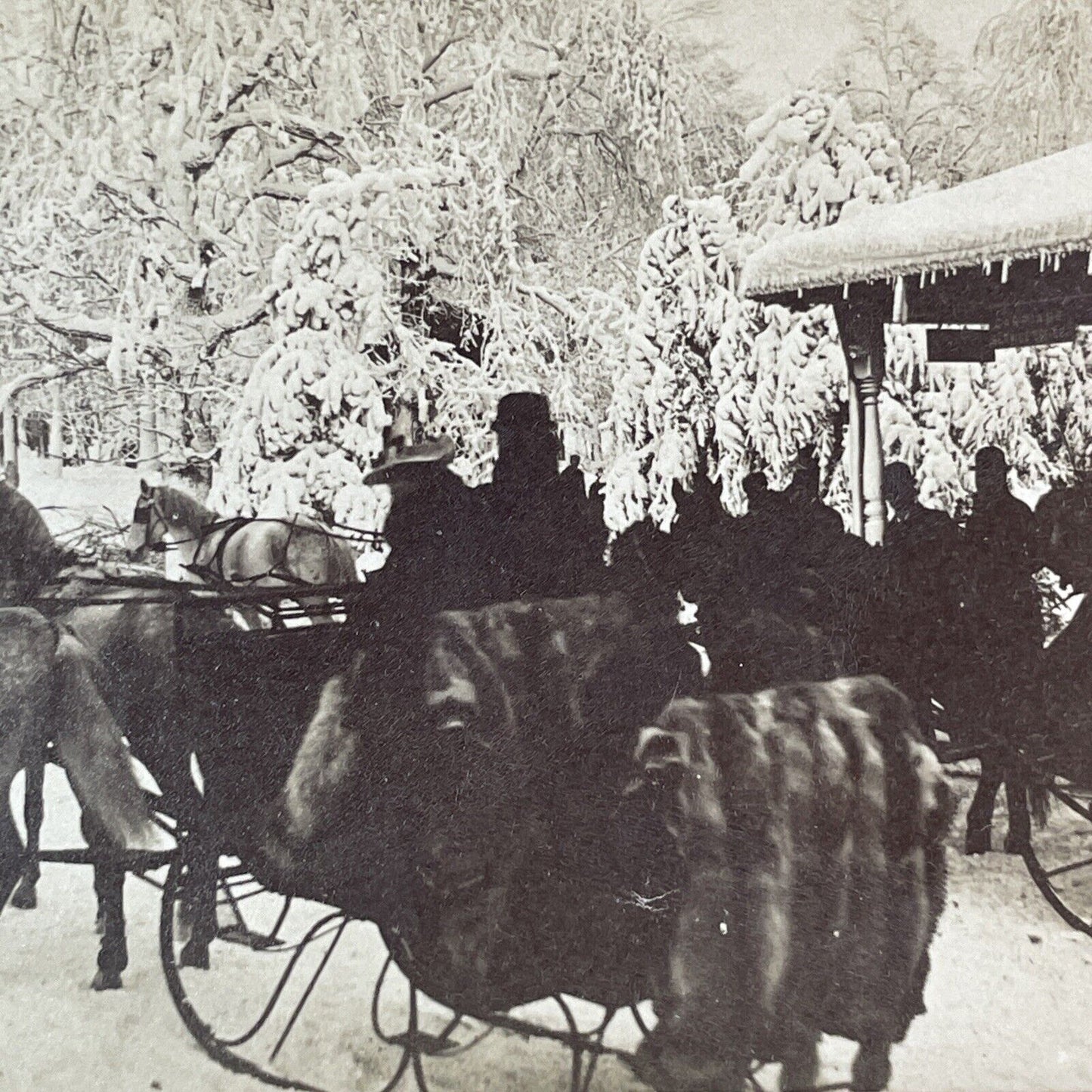 A Mink Lined Sleigh Stereoview Prospect Park New York Antique c1898 Y1865