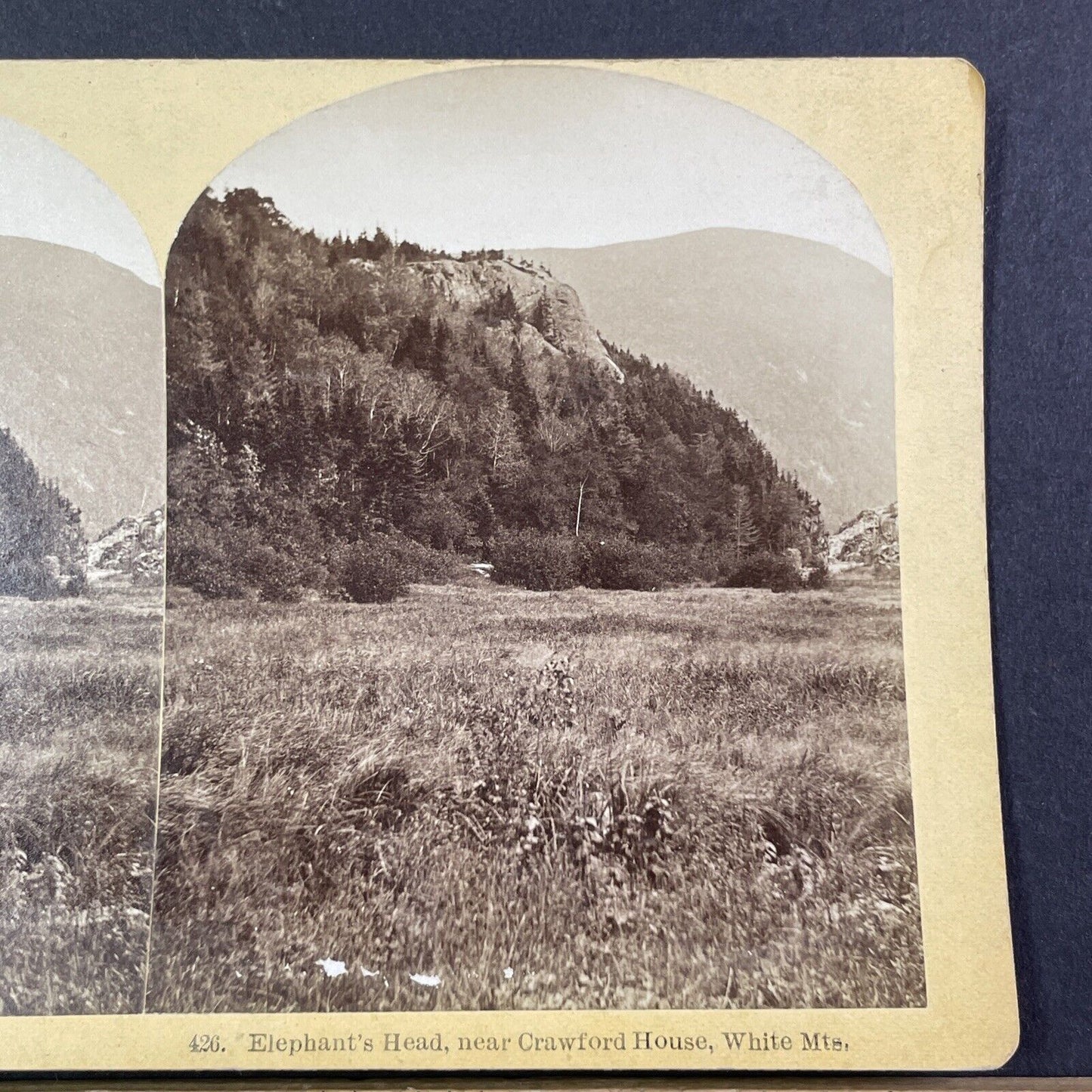 Elephant's Head New Hampshire Stereoview Near Crawford House Antique c1875 Y1479