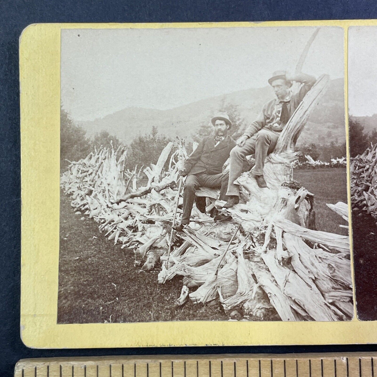 E.J. Young on a Stump Fence Stereoview Campton New Hampshire c1870s Y883