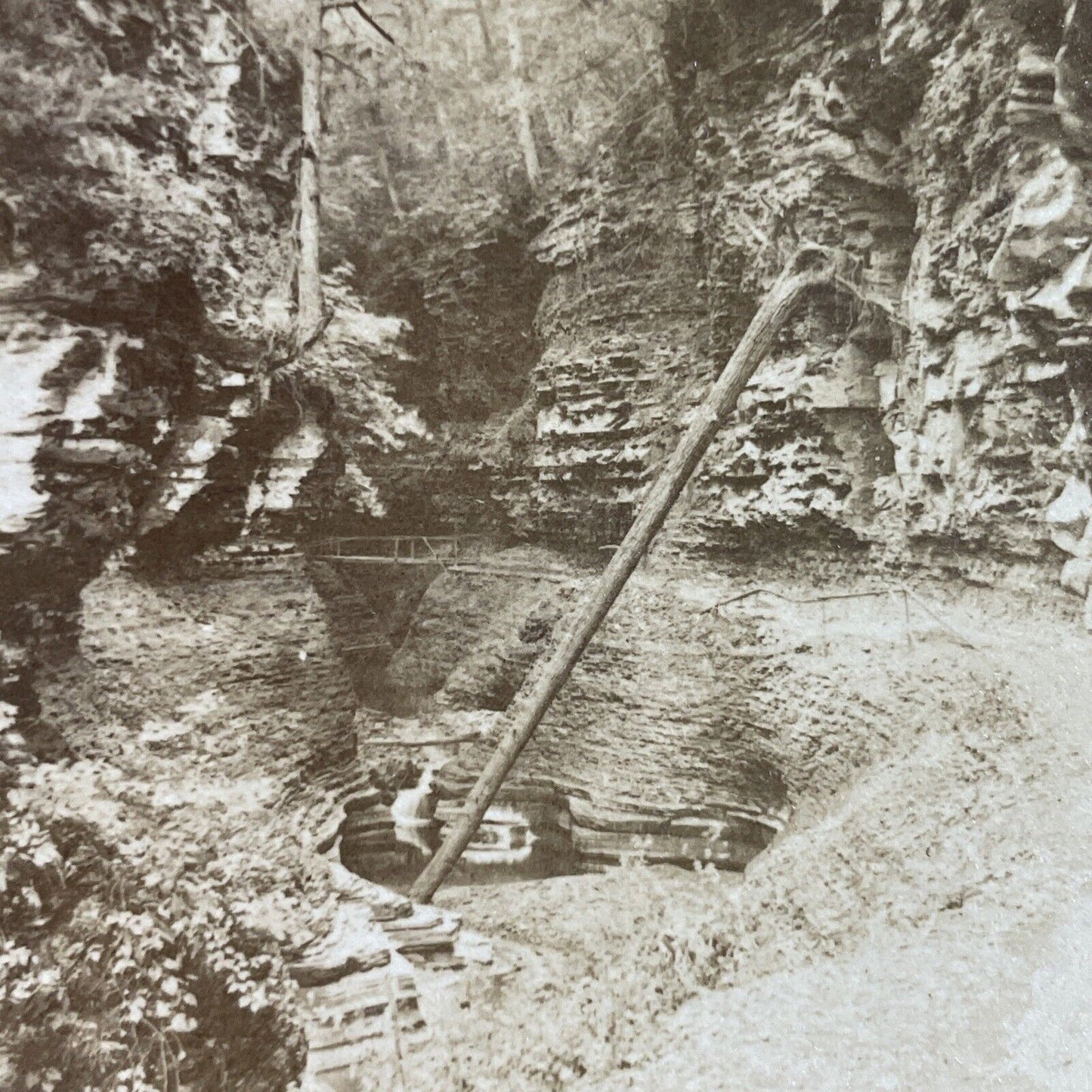 Antique 1890s Fallen Tree In Watkins Glen Gorge NY Stereoview Photo Card P3834