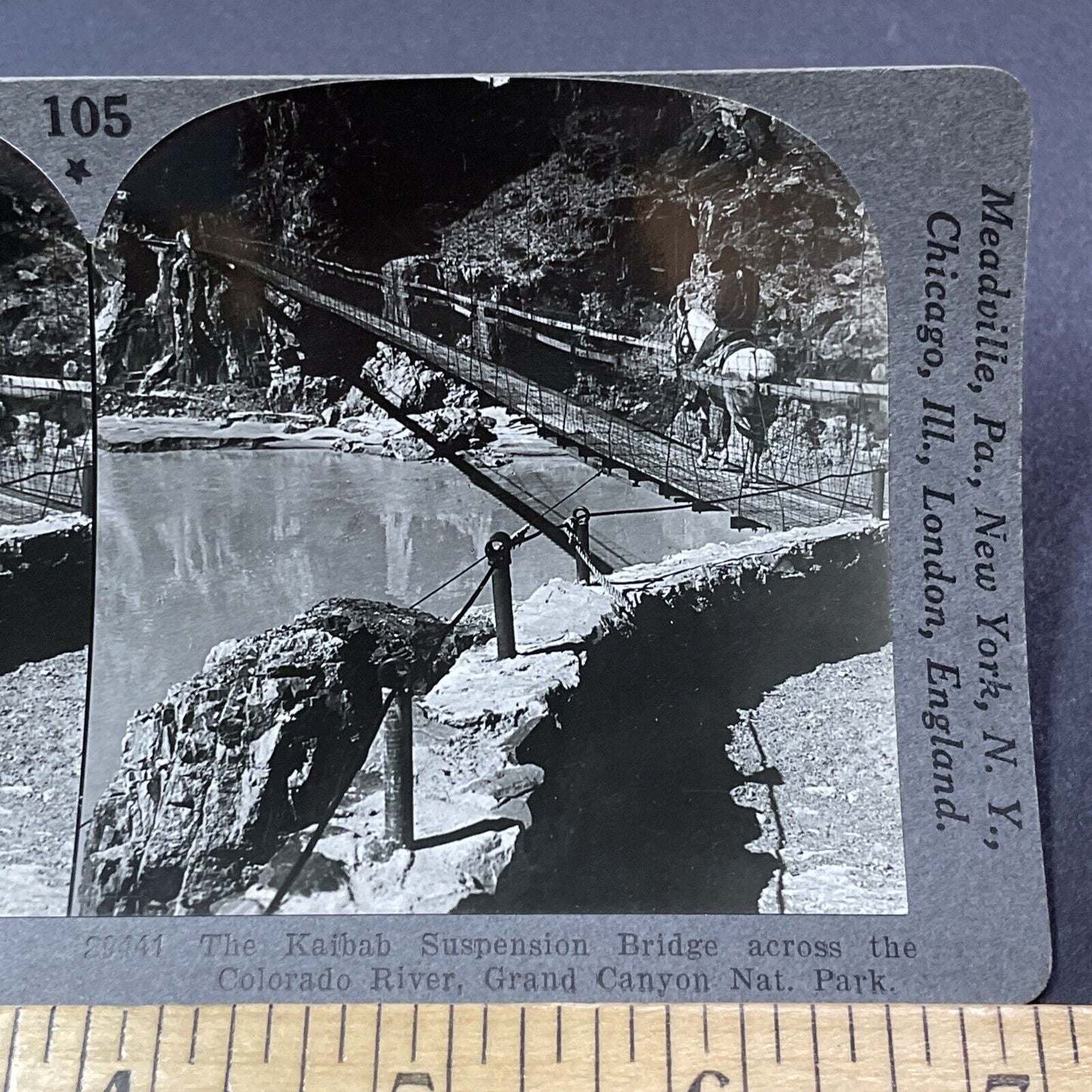 Antique 1910s Kaibab Suspension Bridge Colorado Stereoview Photo Card V2188