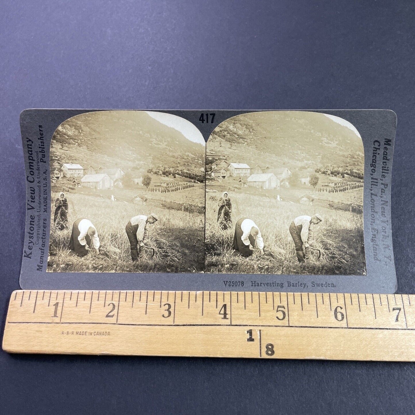 Antique 1910s Barley Farm In Northern Sweden Stereoview Photo Card P3749