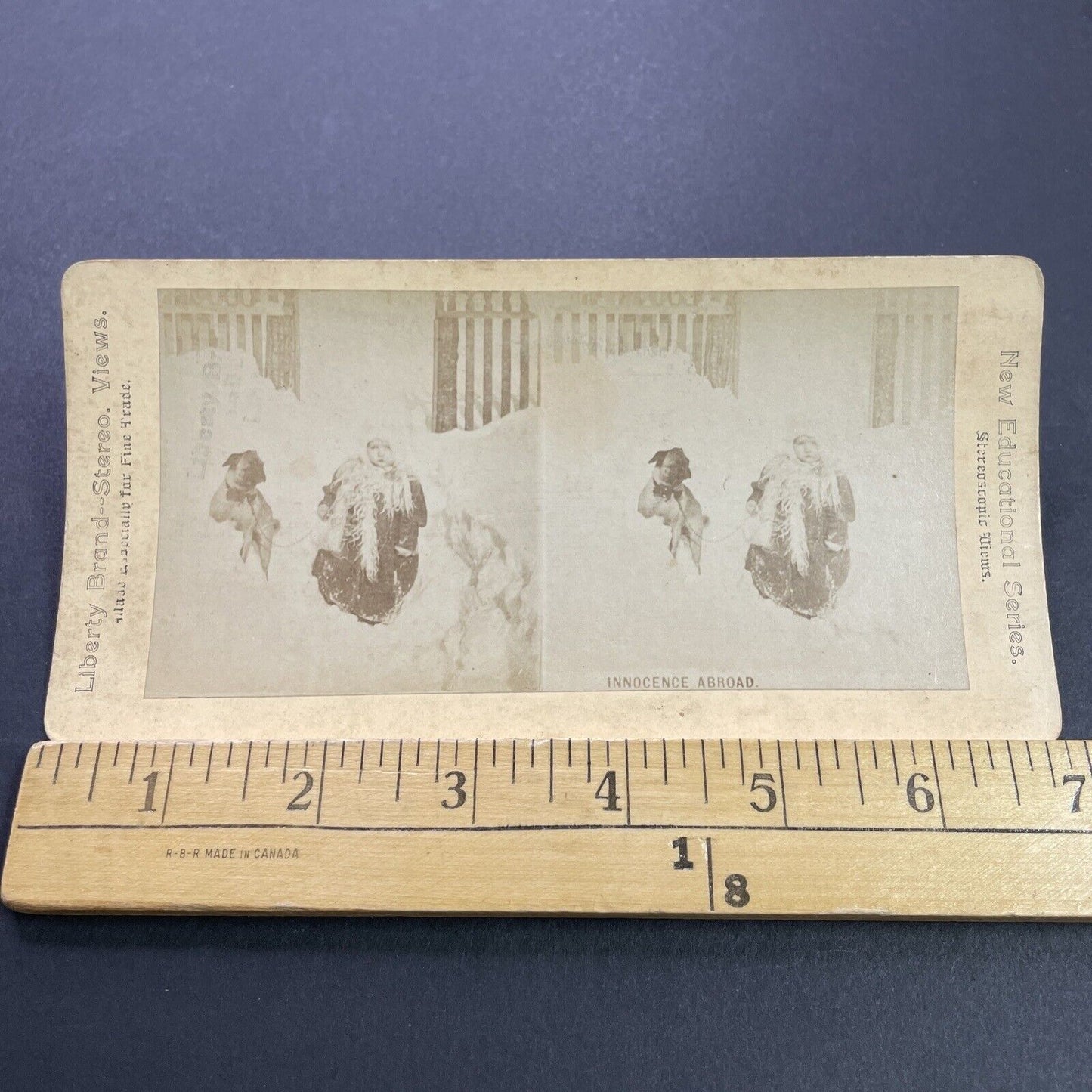 Antique 1870s Child And Pug Dog In Snowstorm Stereoview Photo Card P3538